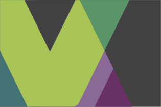 resources-banner-issue-brief