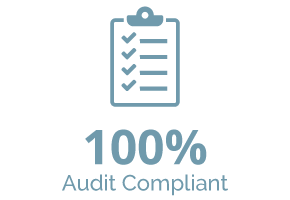 WP100Audit